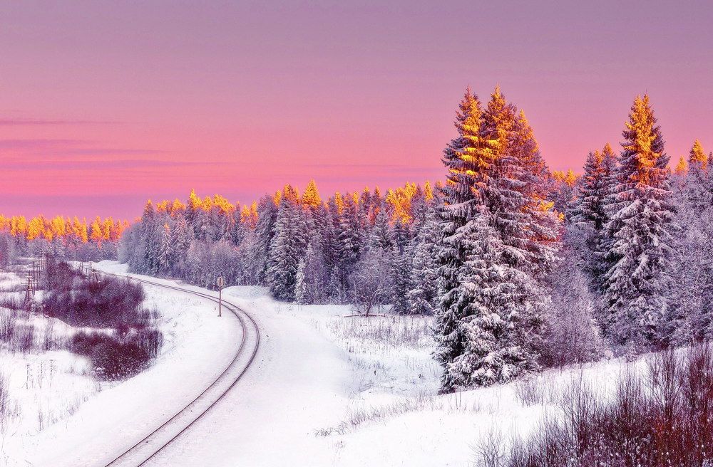 Photograph by Тимофей Шутов