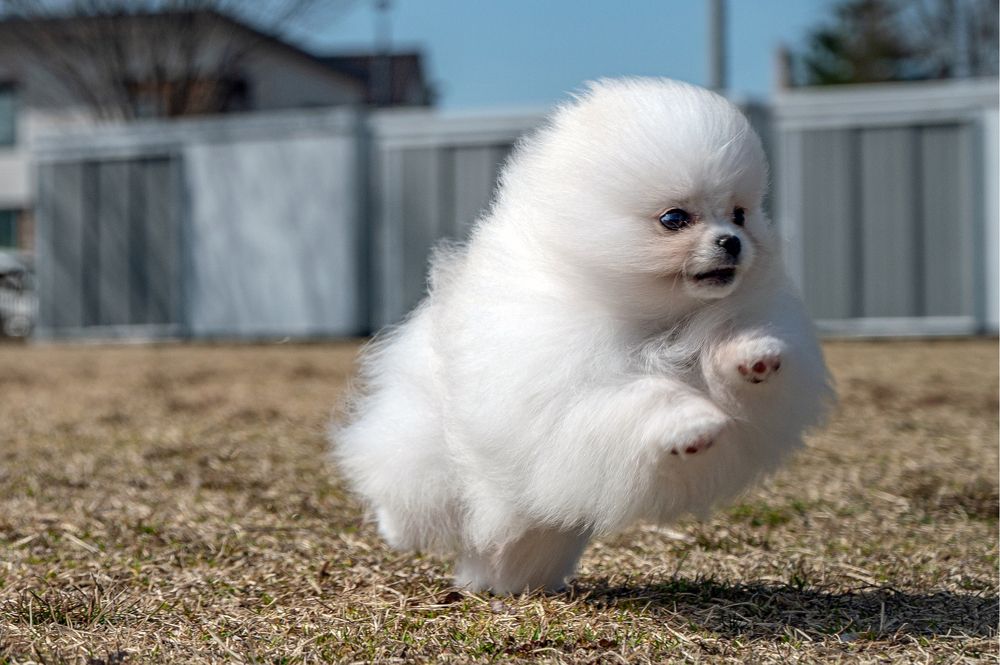 Photograph by Борис Недосеков