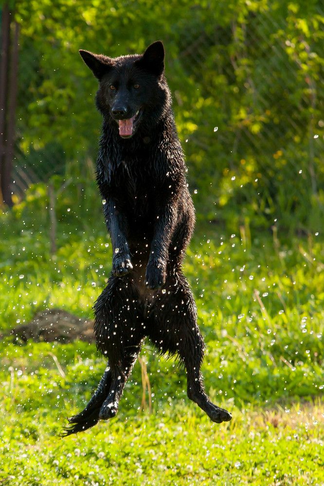 Photograph by Артём