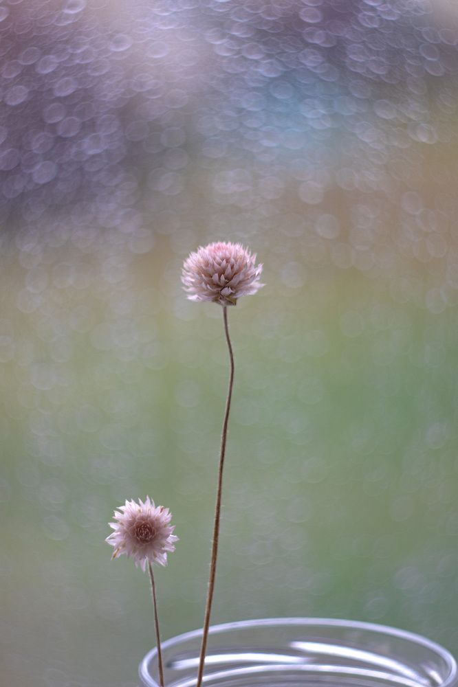 Photograph by Татьяна Новикова