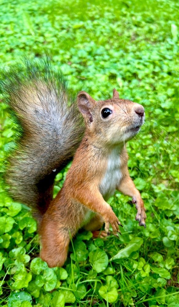 Photograph by Ирина Швейнова