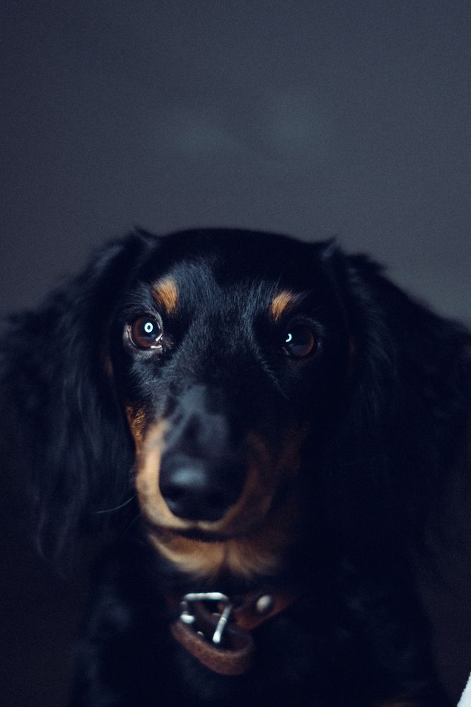 Фотография автора Дарья Обидина