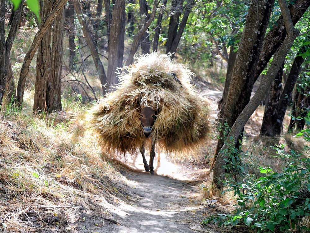 Photograph by Дина