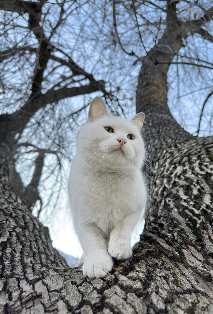 Photograph by Дина