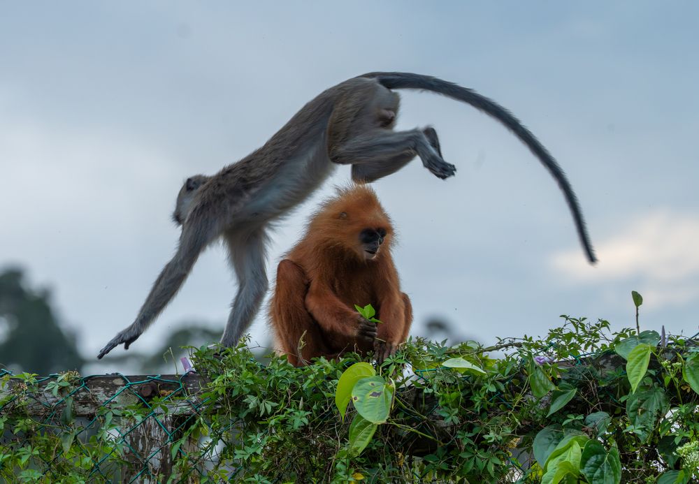 Photograph by Владимир Цветов