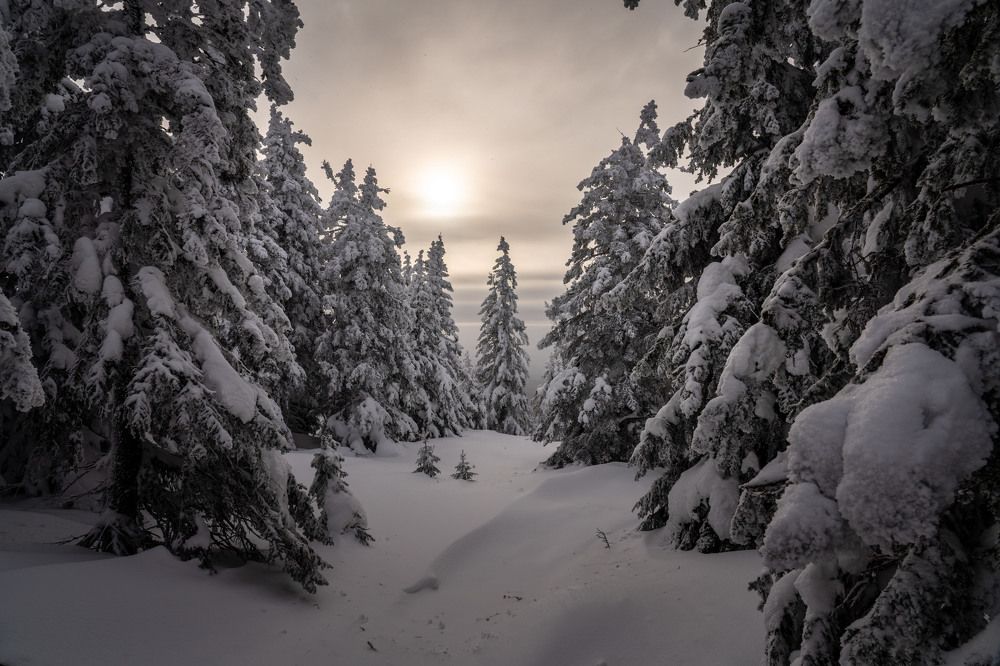 Photograph by Мерсон Евгений