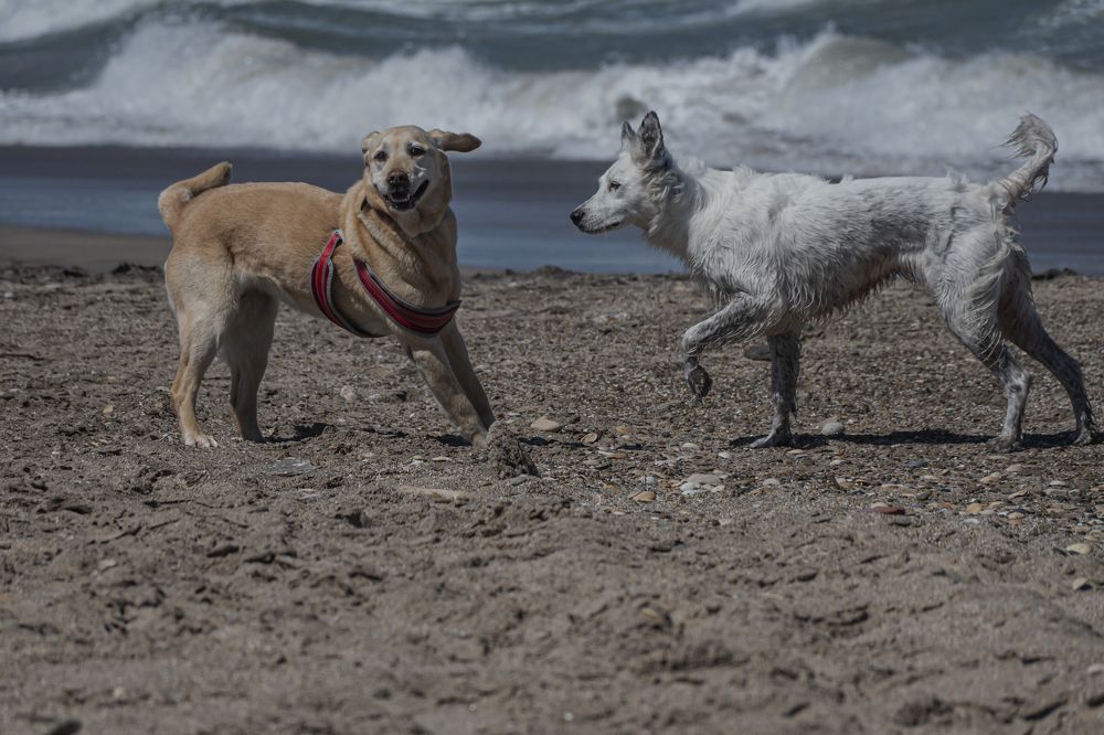 Photograph by Sandra Arena