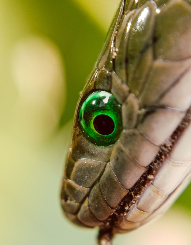 Photograph by Rohit Kumar