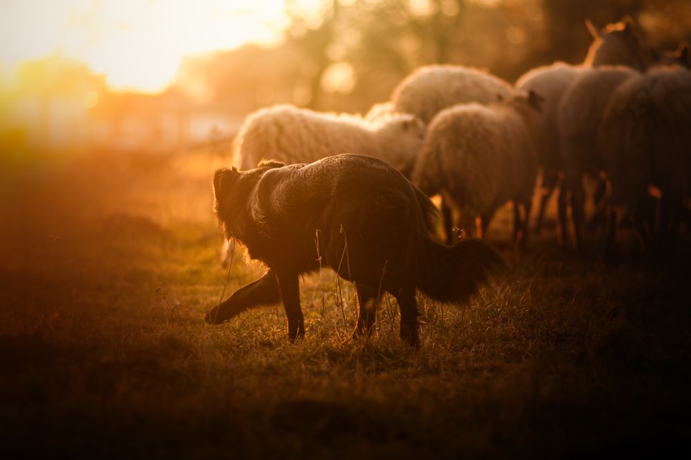 Photograph by Barbora Holinková