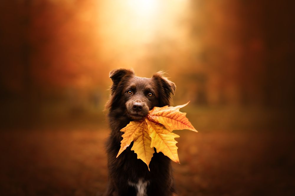 Photograph by Barbora Holinková