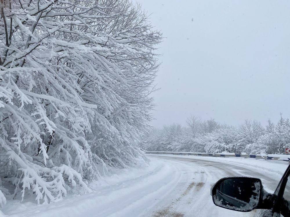 Photograph by Nune Pashayan