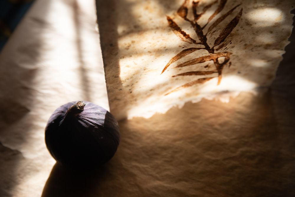 Photograph by Максим Михайлов