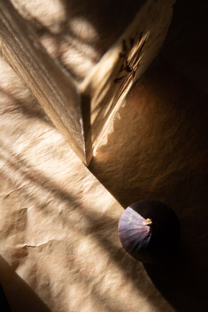 Photograph by Максим Михайлов