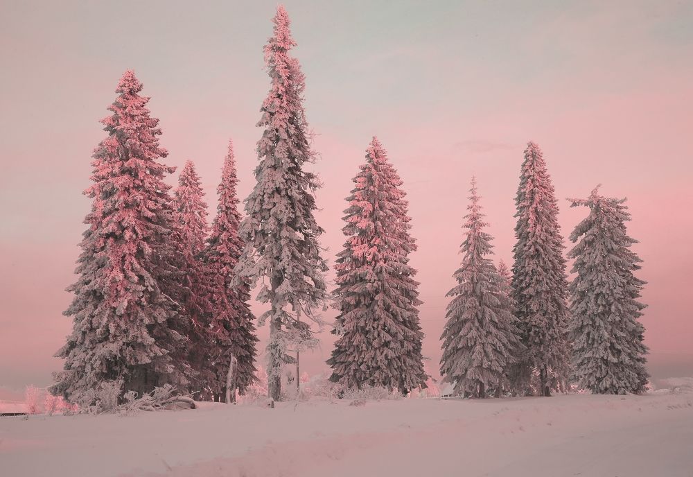 Photograph by Юрий Кетель