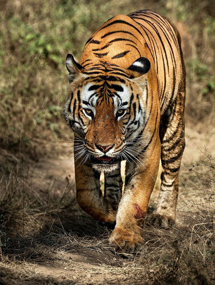 Photograph by RAVI S