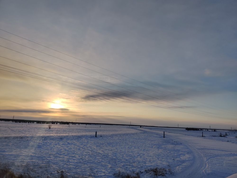 Photo #11745055