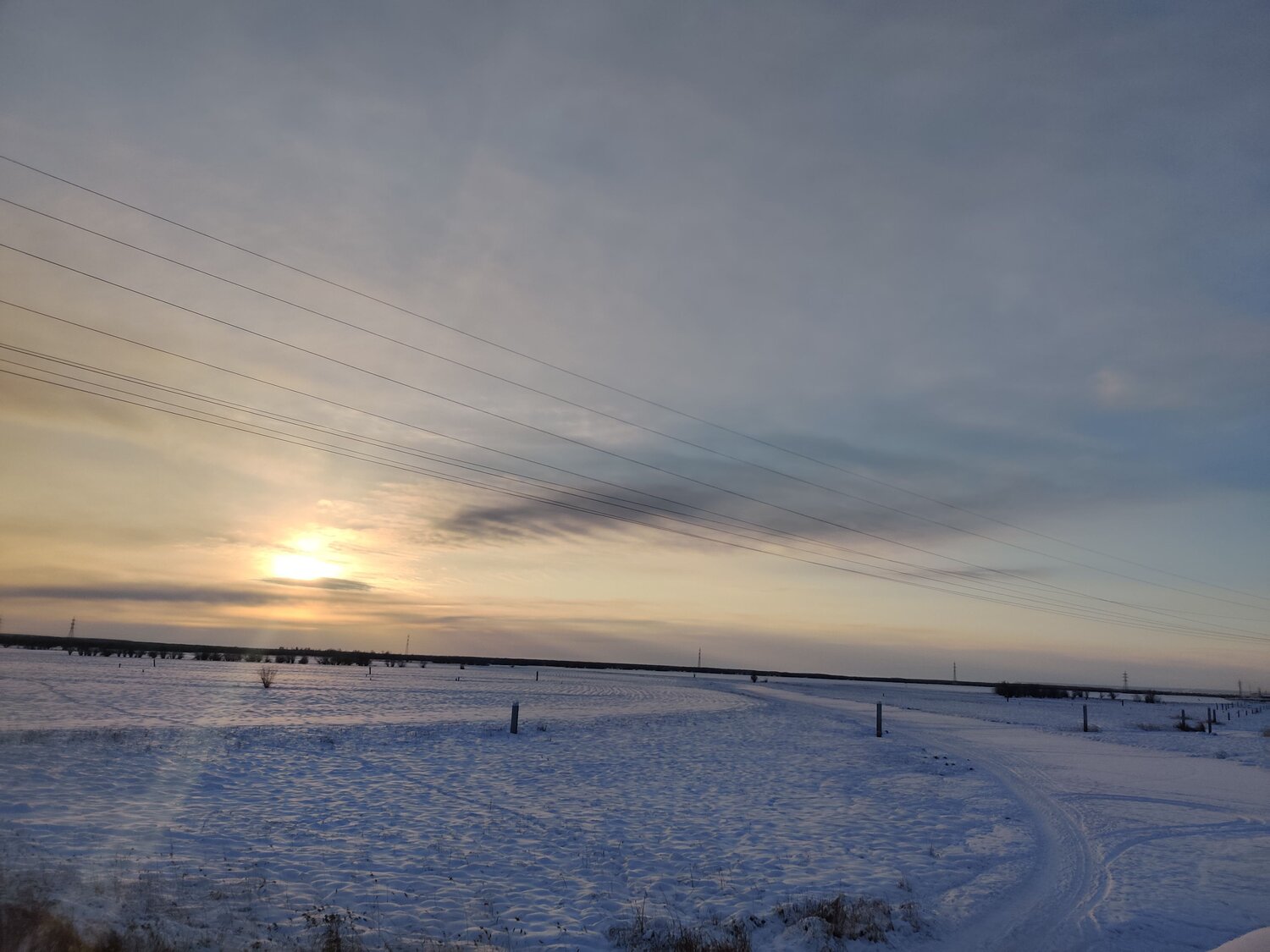 Photo #11745055