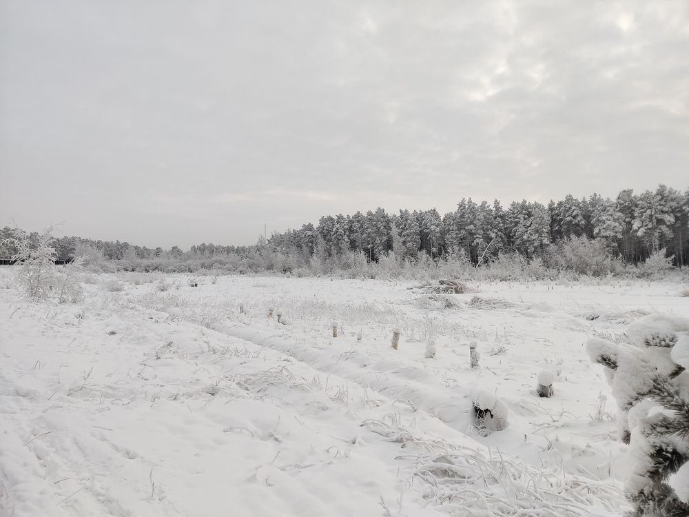 Photo #11745062