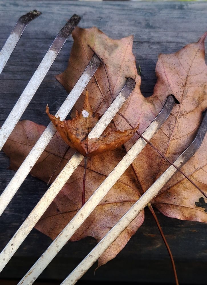 Photograph by Марина Леонова