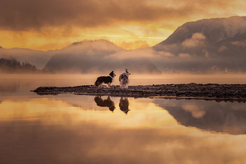 Photograph by Daniela Schmid