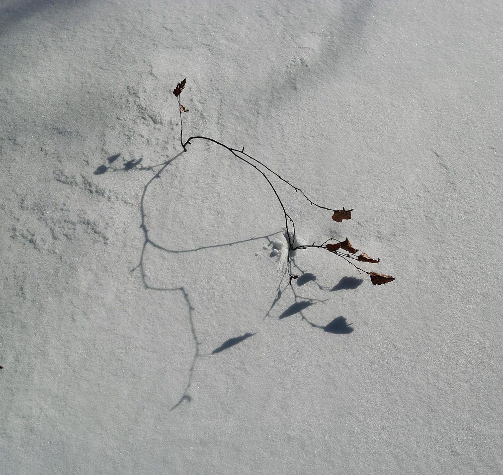 Photograph by Дмитрий Ткаченко