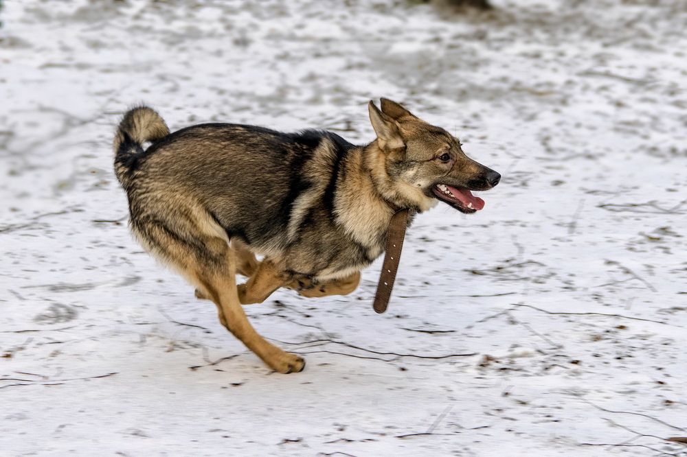 Photograph by Анатолий Чесноков