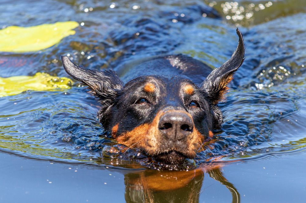 Photograph by Анатолий Чесноков