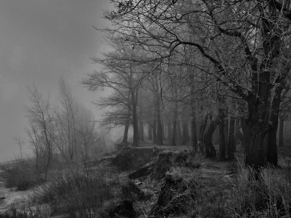 Photograph by Серёга Ануфриев