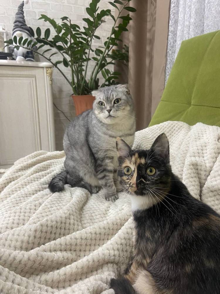 Photograph by Наталья Душакова