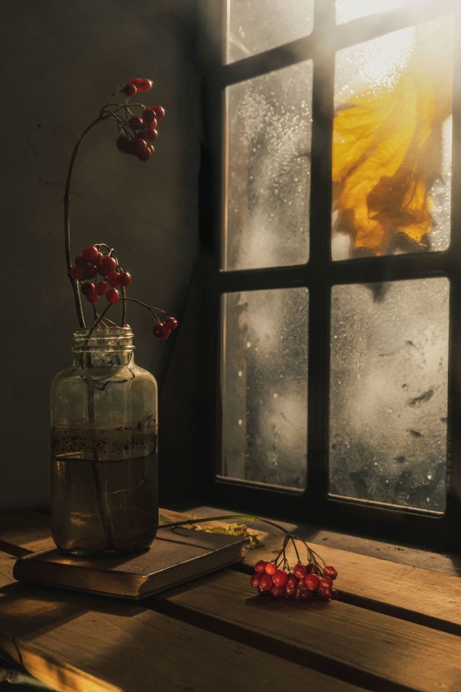 Photograph by Анастасия Тимарг