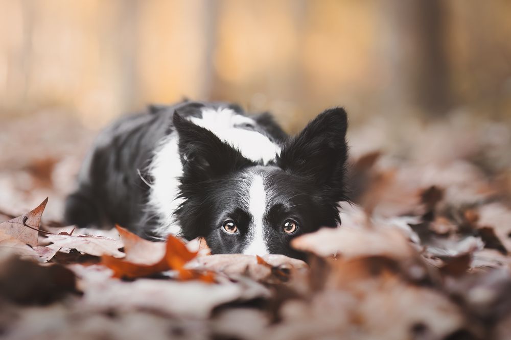 Photograph by GRISELDA FERNANDEZ