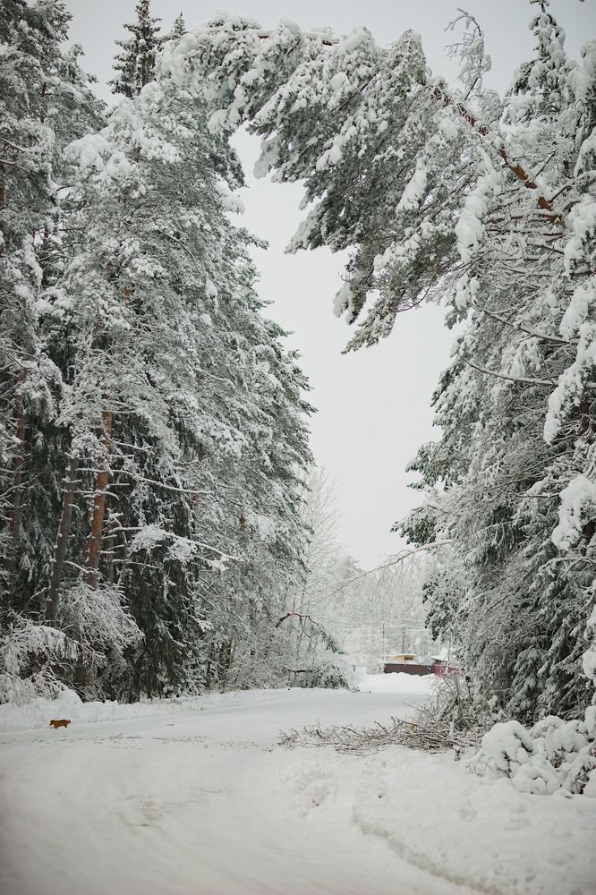 Photograph by Татьяна Шандромайло