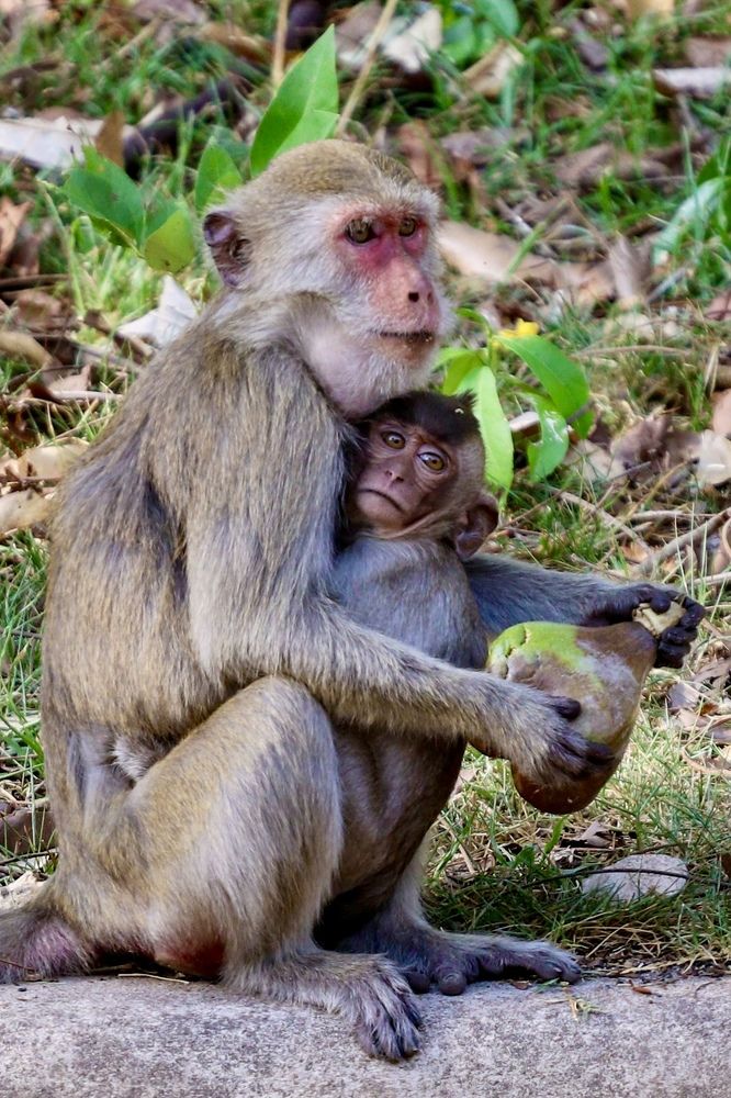 Photograph by Михаил