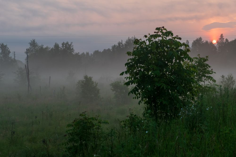 Photograph by Irina Luidinshina