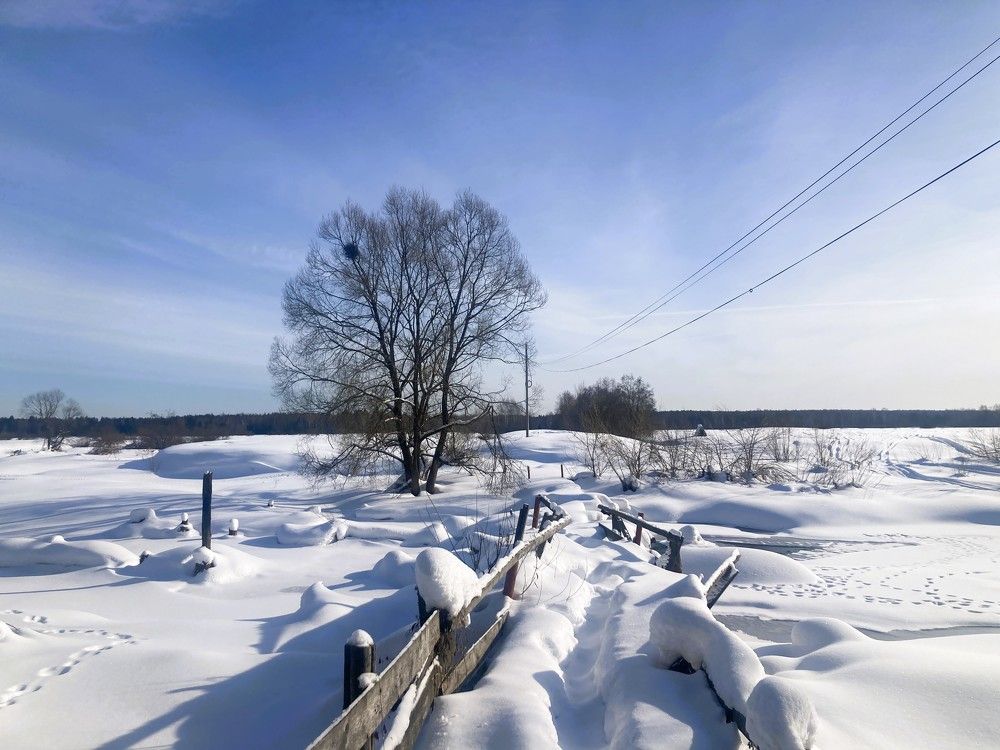 Photograph by Светлана Парамонова