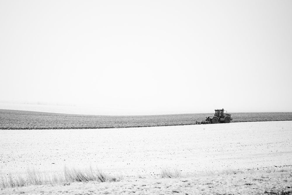 Photograph by Пиленгас Александр