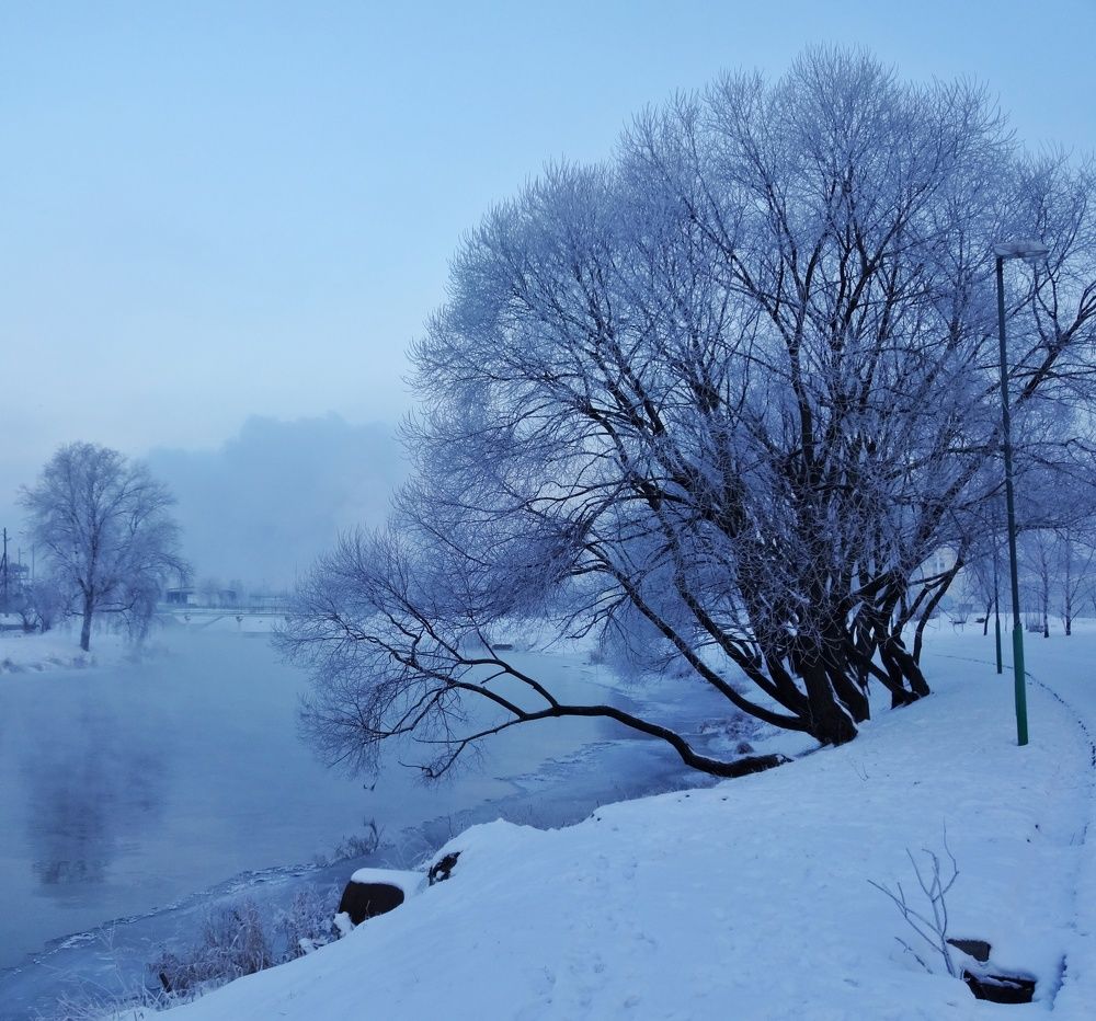 Фотография автора Геннадий Ломеко