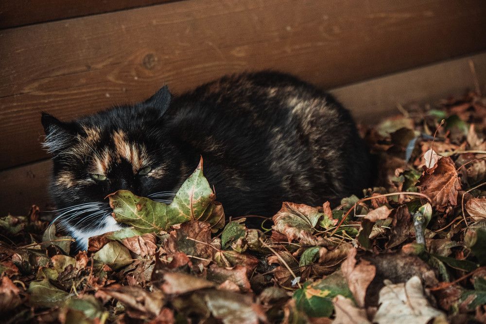 Photograph by Tatiana Potapenko