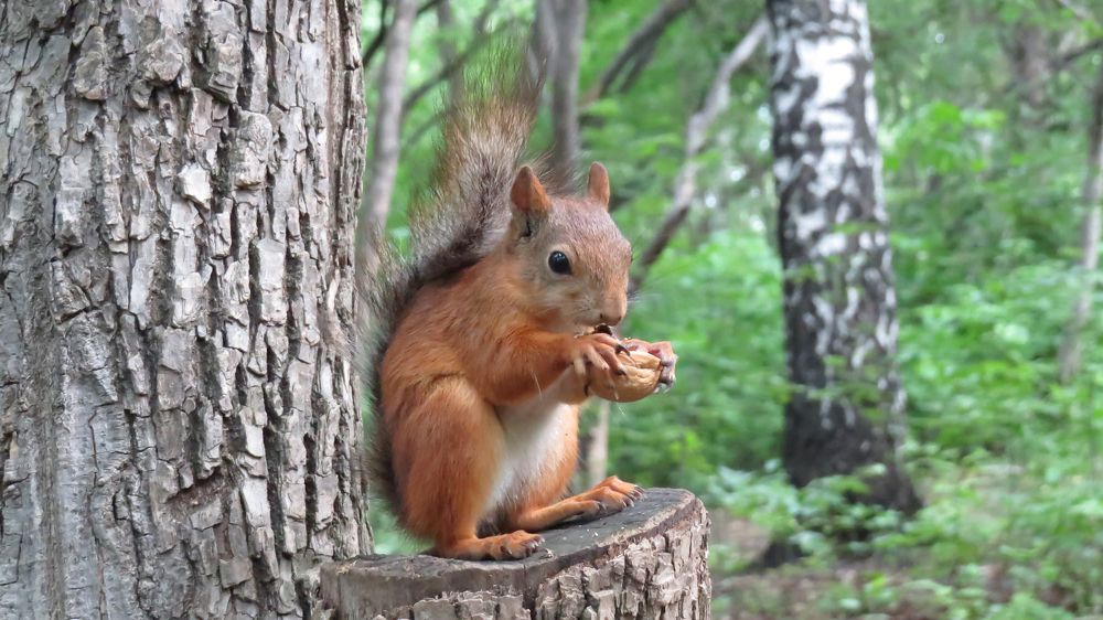 Photograph by Alexsandr Gl