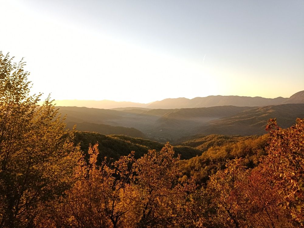 Photo #11745766