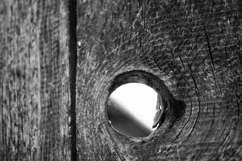 Photograph by Полина