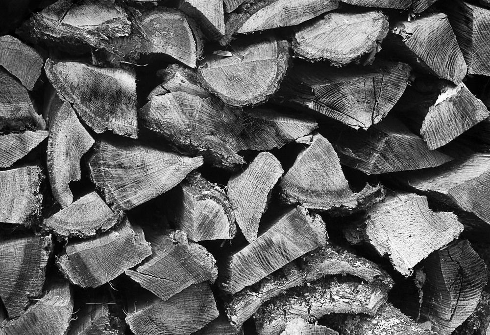 Photograph by Полина