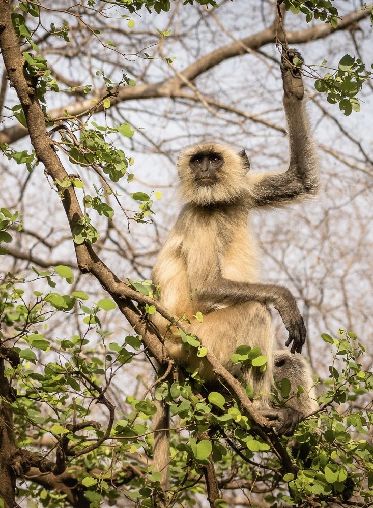 Фотография автора Mrinal Ranjan