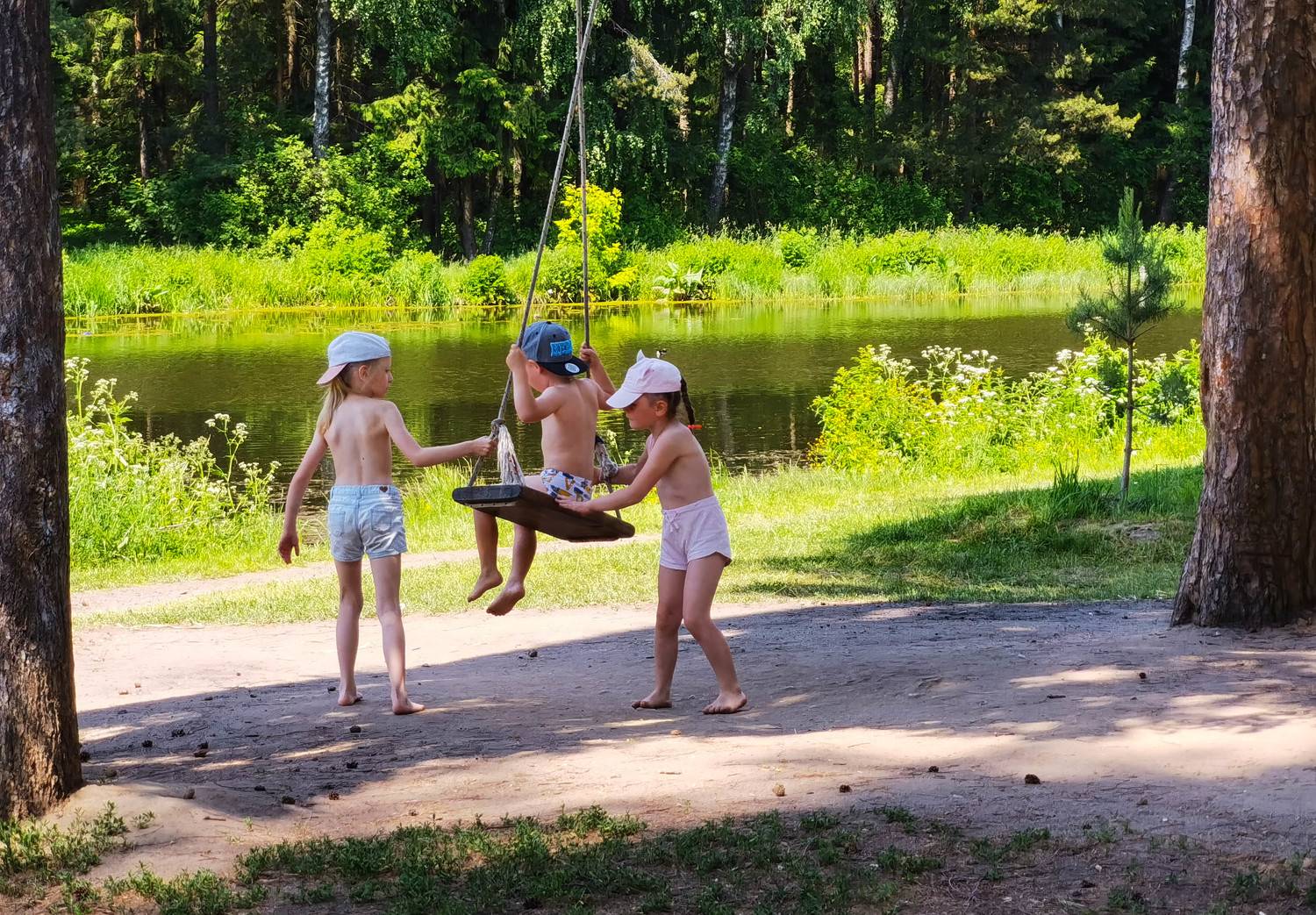 Photo #11745802