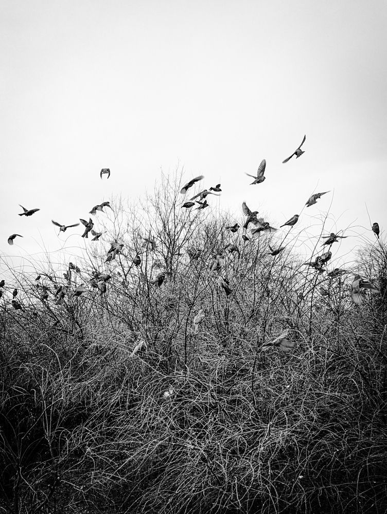 Photograph by Антон Огородов