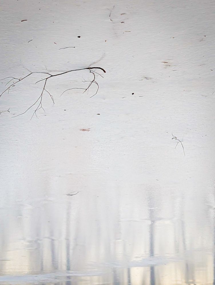 Photograph by Антон Огородов