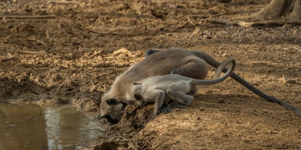 Фотография автора Mrinal Ranjan