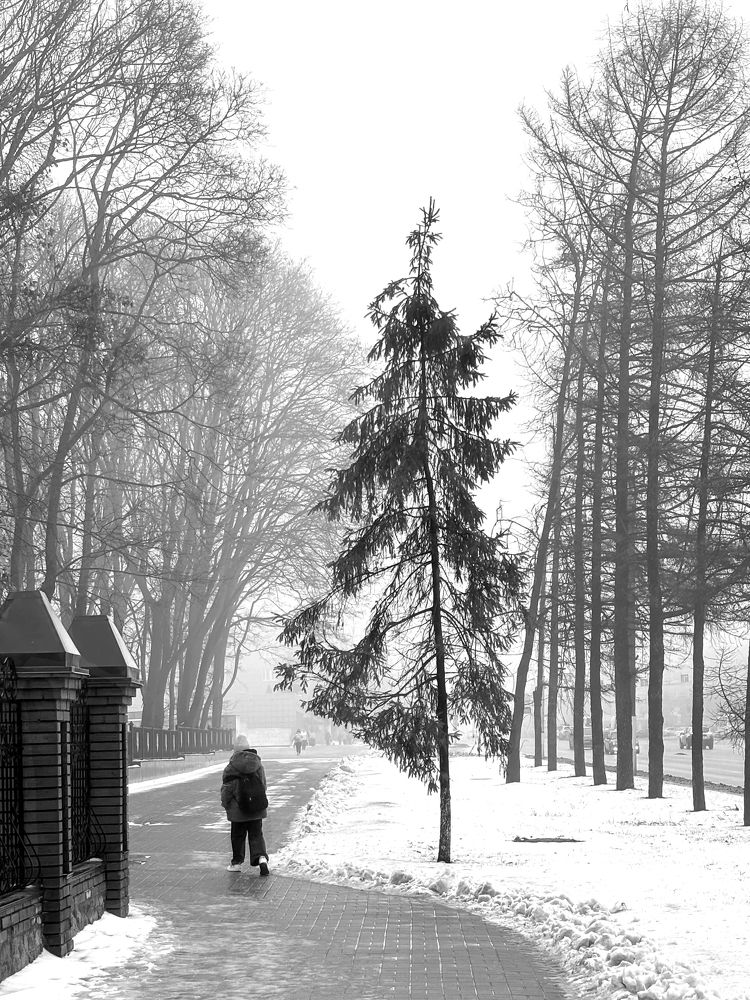 Фотография автора Графов Борис