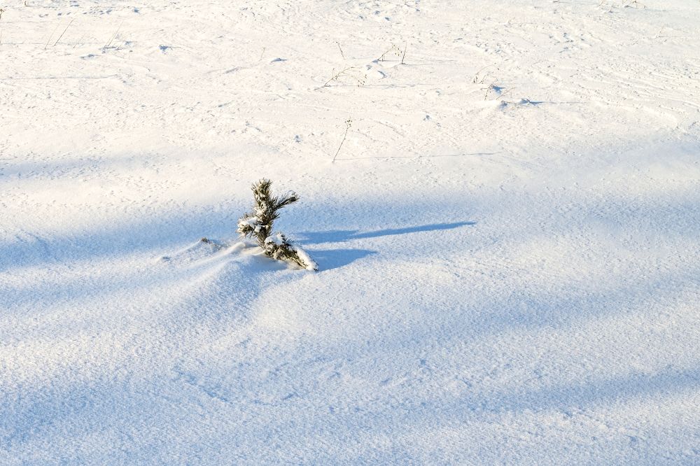 В снежном плену