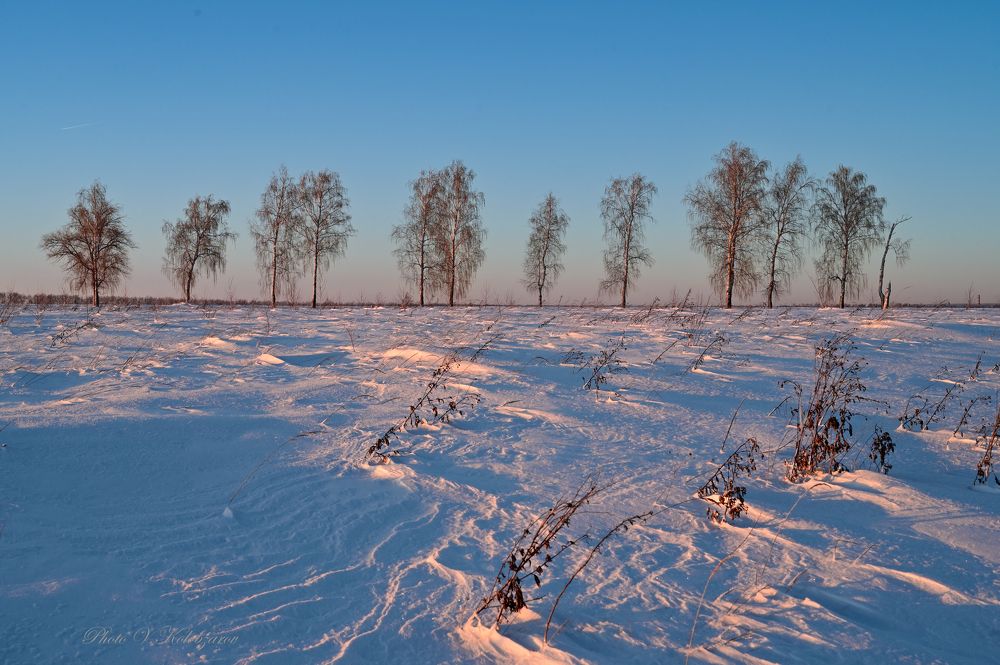 В вечернем свете